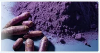 Purple carrot powder